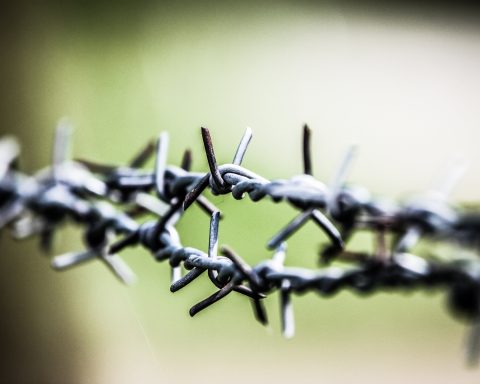 nuove violazioni dei diritti umani